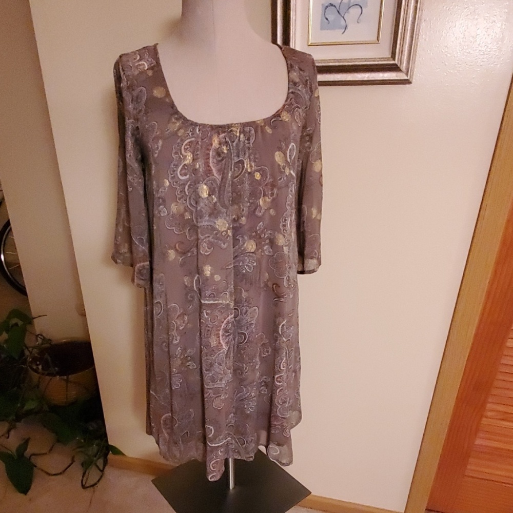 dressT sheer dress